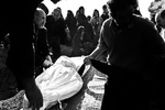 arash khamooshi (37 of 53)-1.jpg